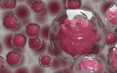 Cordone ombelicale: come conservare le cellule staminali
