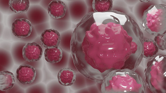 Cordone ombelicale: come conservare le cellule staminali